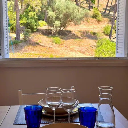 La Boite Rose - De L'almanarre Apartment Hyeres